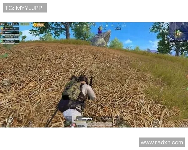 从零起步掌握心理素质提升策略助力和平精英游戏胜利之路 从零起步掌握心理素质提升策略助力和平精英游戏胜利之路