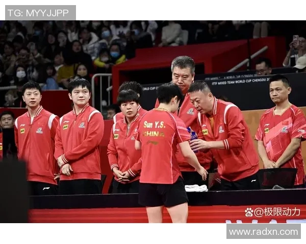 武汉乒乓球队实力引发热议球迷对其表现和未来发展展开激烈讨论