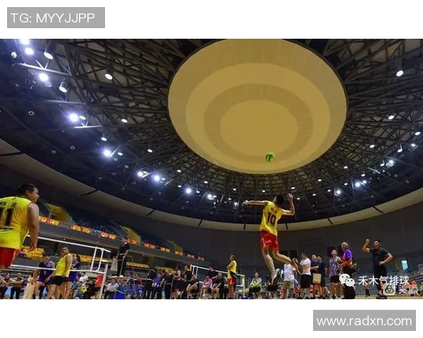 杭州排球队的阵地战体系探讨与战术创新分析