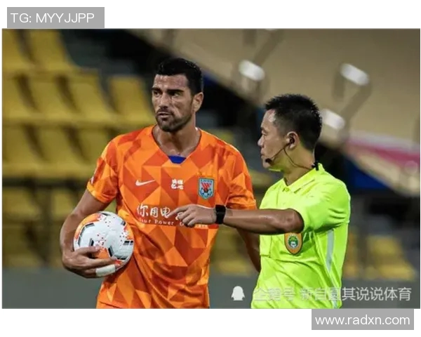 北京排球队阵地战体系解析与战术创新探讨