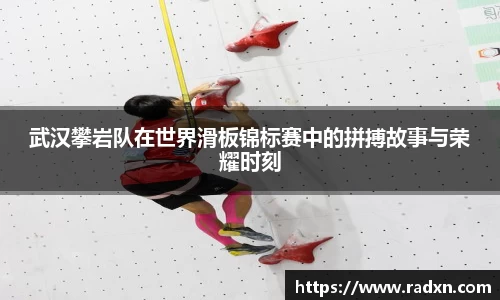 NG28南宫